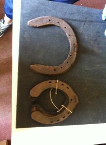 These are some of the horse shoes we have come across. Something we discovered in our research…Did you know that it is a criminal offence to shoe a horse unless you are qualified under the Farriers Act of 1975? 