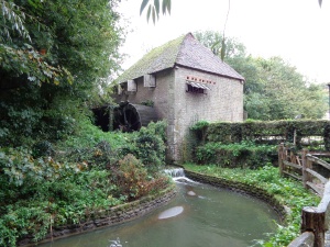 The working water mill 
