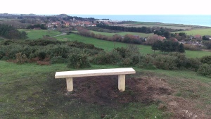 The bench is actually level it’s the camera angle that was wonky! 